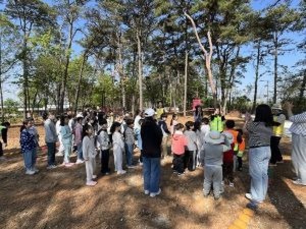 충남교육청 숲체험7.jpg
